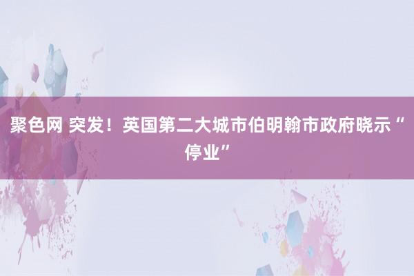 聚色网 突发！英国第二大城市伯明翰市政府晓示“停业”