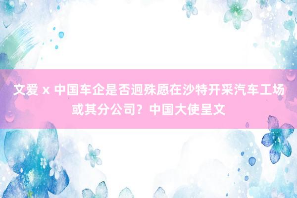 文爱 x 中国车企是否迥殊愿在沙特开采汽车工场或其分公司？中国大使呈文