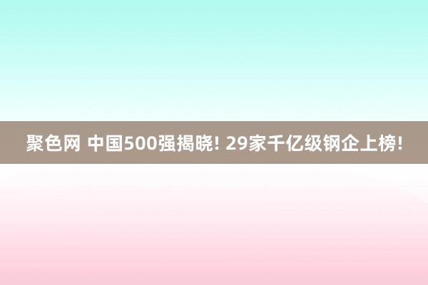 聚色网 中国500强揭晓! 29家千亿级钢企上榜!