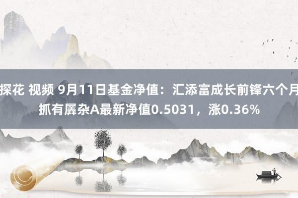 探花 视频 9月11日基金净值：汇添富成长前锋六个月抓有羼杂A最新净值0.5031，涨0.36%