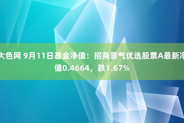 大色网 9月11日基金净值：招商景气优选股票A最新净值0.4664，跌1.67%