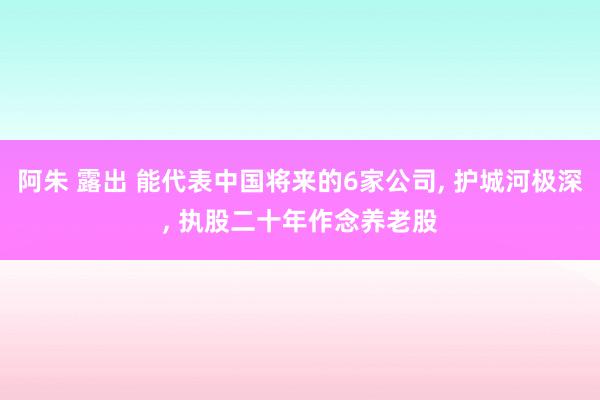 阿朱 露出 能代表中国将来的6家公司， 护城河极深， 执股二十年作念养老股