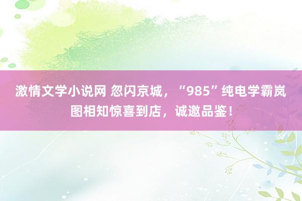 激情文学小说网 忽闪京城，“985”纯电学霸岚图相知惊喜到店，诚邀品鉴！