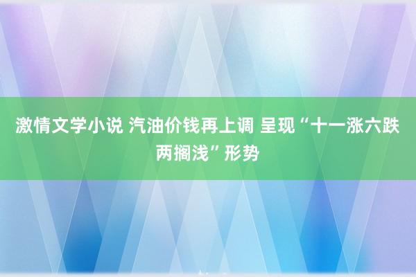 激情文学小说 汽油价钱再上调 呈现“十一涨六跌两搁浅”形势