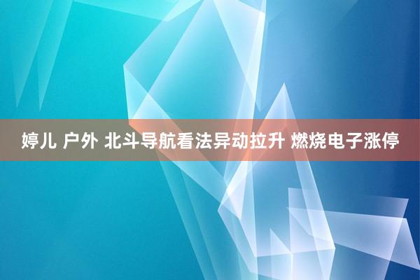 婷儿 户外 北斗导航看法异动拉升 燃烧电子涨停