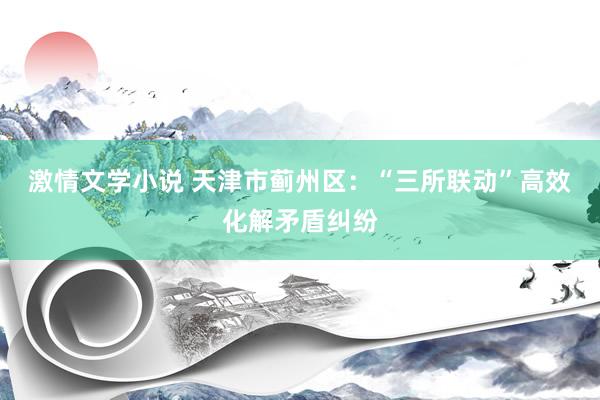 激情文学小说 天津市蓟州区：“三所联动”高效化解矛盾纠纷