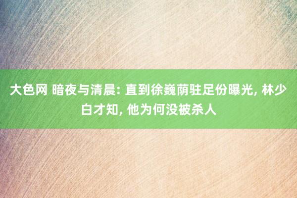 大色网 暗夜与清晨: 直到徐巍荫驻足份曝光， 林少白才知， 他为何没被杀人