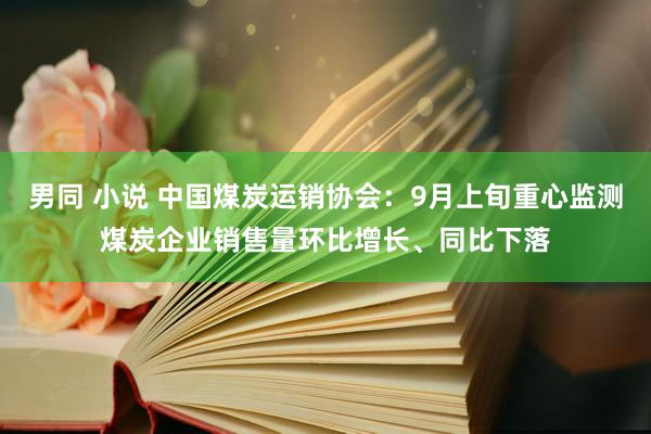 男同 小说 中国煤炭运销协会：9月上旬重心监测煤炭企业销售量环比增长、同比下落