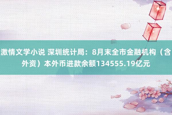 激情文学小说 深圳统计局：8月末全市金融机构（含外资）本外币进款余额134555.19亿元