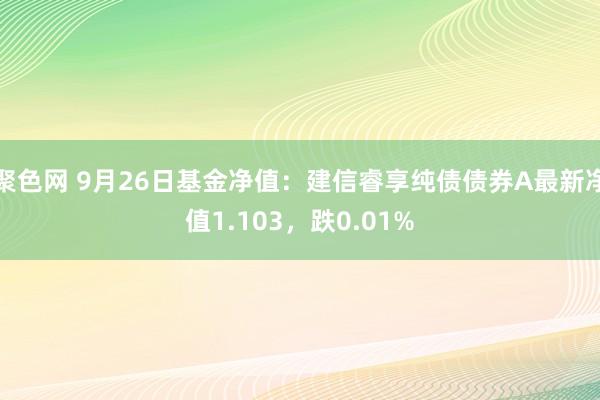 聚色网 9月26日基金净值：建信睿享纯债债券A最新净值1.103，跌0.01%