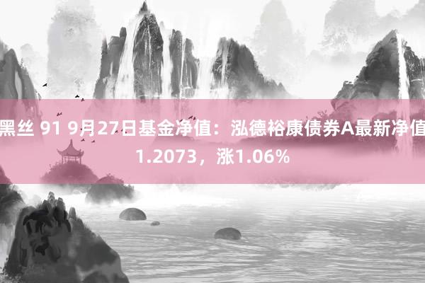 黑丝 91 9月27日基金净值：泓德裕康债券A最新净值1.2073，涨1.06%