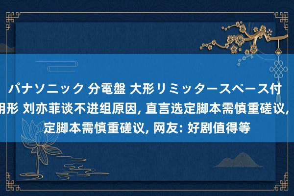 パナソニック 分電盤 大形リミッタースペース付 露出・半埋込両用形 刘亦菲谈不进组原因， 直言选定脚本需慎重磋议， 网友: 好剧值得等