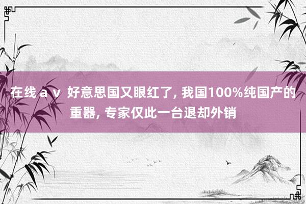 在线ａｖ 好意思国又眼红了， 我国100%纯国产的重器， 专家仅此一台退却外销