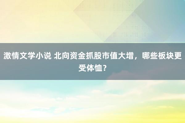 激情文学小说 北向资金抓股市值大增，哪些板块更受体恤？