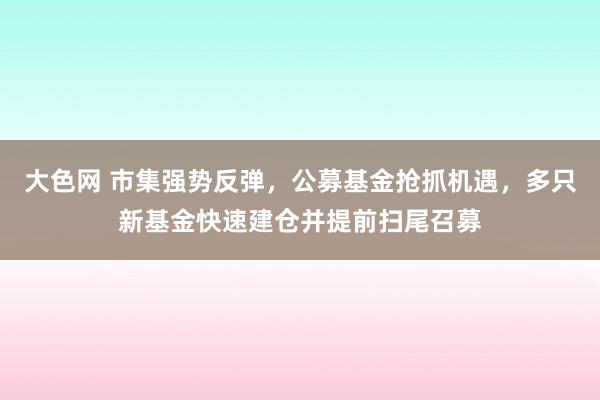 大色网 市集强势反弹，公募基金抢抓机遇，多只新基金快速建仓并提前扫尾召募