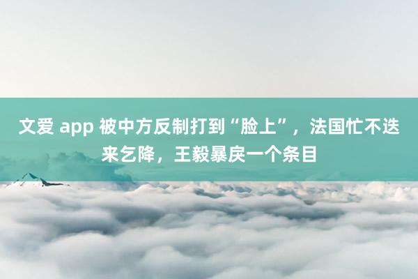 文爱 app 被中方反制打到“脸上”，法国忙不迭来乞降，王毅暴戾一个条目