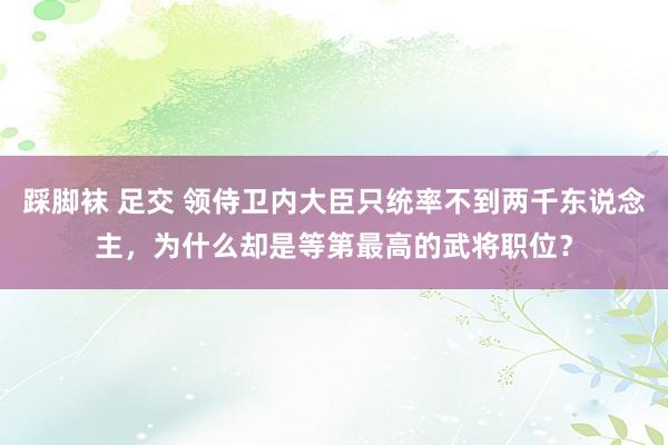 踩脚袜 足交 领侍卫内大臣只统率不到两千东说念主，为什么却是等第最高的武将职位？