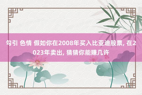 勾引 色情 假如你在2008年买入比亚迪股票， 在2023年卖出， 猜猜你能赚几许