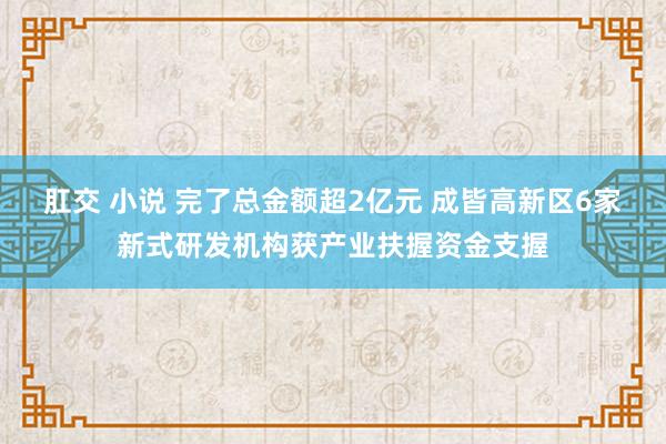 肛交 小说 完了总金额超2亿元 成皆高新区6家新式研发机构获产业扶握资金支握