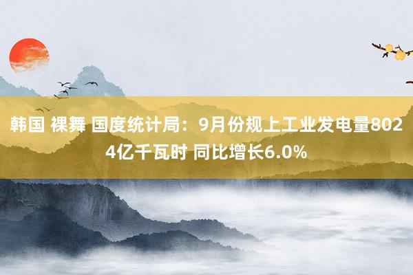 韩国 裸舞 国度统计局：9月份规上工业发电量8024亿千瓦时 同比增长6.0%