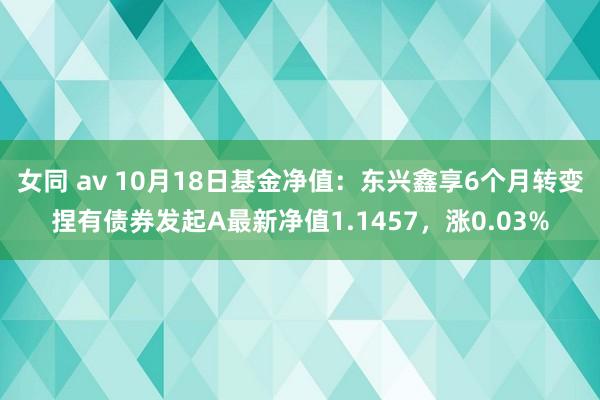 女同 av 10月18日基金净值：东兴鑫享6个月转变捏有债券发起A最新净值1.1457，涨0.03%