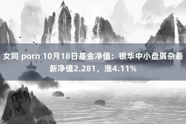 女同 porn 10月18日基金净值：银华中小盘羼杂最新净值2.281，涨4.11%