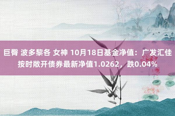 巨臀 波多黎各 女神 10月18日基金净值：广发汇佳按时敞开债券最新净值1.0262，跌0.04%