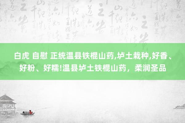 白虎 自慰 正统温县铁棍山药，垆土栽种，好香、好粉、好糯!温县垆土铁棍山药，柔润圣品