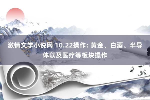 激情文学小说网 10.22操作: 黄金、白酒、半导体以及医疗等板块操作