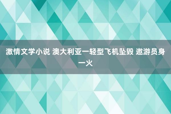 激情文学小说 澳大利亚一轻型飞机坠毁 遨游员身一火