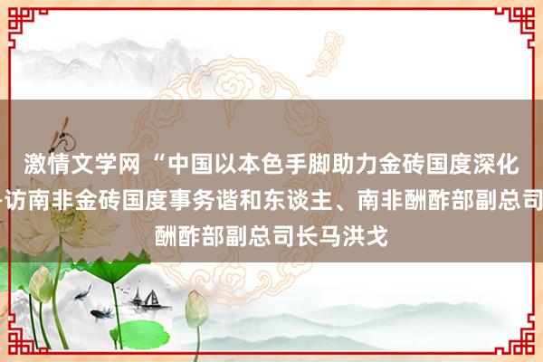 激情文学网 “中国以本色手脚助力金砖国度深化合作”——访南非金砖国度事务谐和东谈主、南非酬酢部副总司长马洪戈