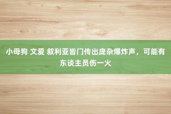 小母狗 文爱 叙利亚皆门传出庞杂爆炸声，可能有东谈主员伤一火