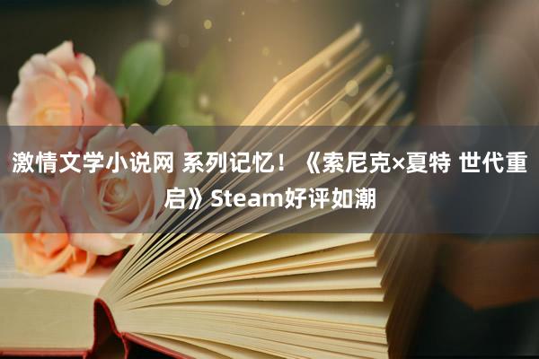 激情文学小说网 系列记忆！《索尼克×夏特 世代重启》Steam好评如潮