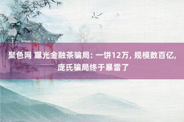 聚色网 曝光金融茶骗局: 一饼12万， 规模数百亿， 庞氏骗局终于暴雷了