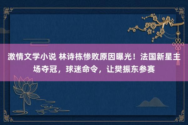 激情文学小说 林诗栋惨败原因曝光！法国新星主场夺冠，球迷命令，让樊振东参赛