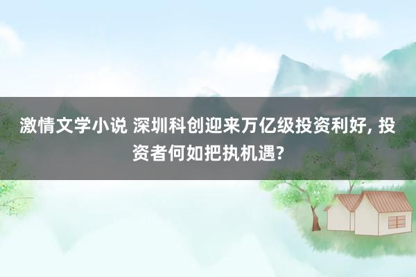 激情文学小说 深圳科创迎来万亿级投资利好， 投资者何如把执机遇?