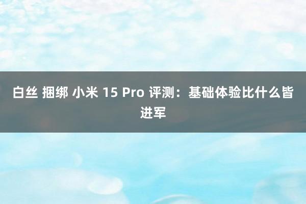 白丝 捆绑 小米 15 Pro 评测：基础体验比什么皆进军