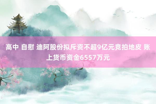 高中 自慰 迪阿股份拟斥资不超9亿元竞拍地皮 账上货币资金6557万元