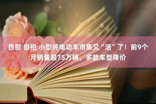 自慰 自拍 小型纯电动车市集又“活”了！前9个月销量超75万辆，多款车型降价