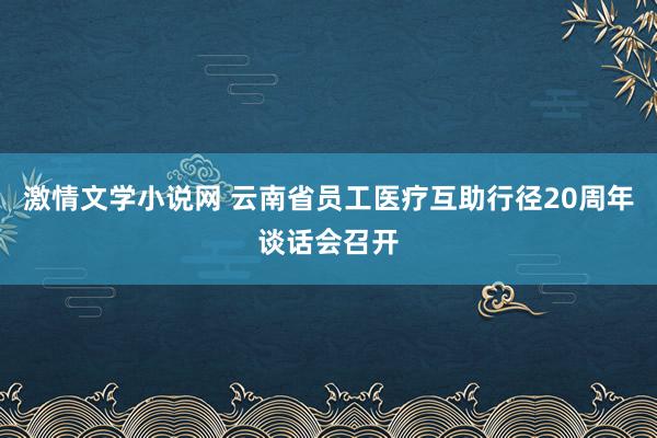 激情文学小说网 云南省员工医疗互助行径20周年谈话会召开