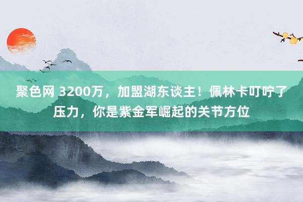 聚色网 3200万，加盟湖东谈主！佩林卡叮咛了压力，你是紫金军崛起的关节方位