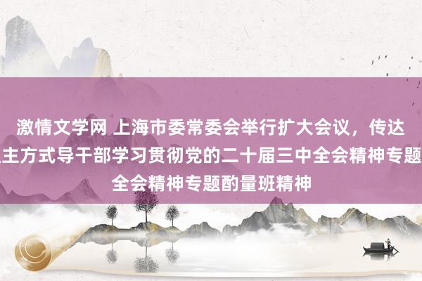 激情文学网 上海市委常委会举行扩大会议，传达学习省部级主方式导干部学习贯彻党的二十届三中全会精神专题酌量班精神