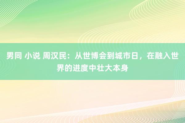 男同 小说 周汉民：从世博会到城市日，在融入世界的进度中壮大本身