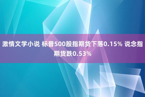 激情文学小说 标普500股指期货下落0.15% 说念指期货跌0.53%