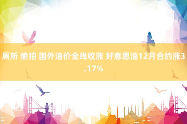 厕所 偷拍 国外油价全线收涨 好意思油12月合约涨3.17%