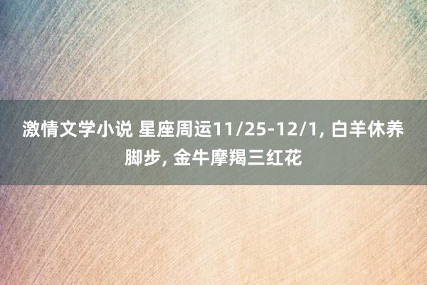 激情文学小说 星座周运11/25-12/1， 白羊休养脚步， 金牛摩羯三红花