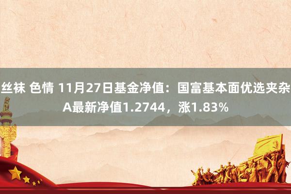 丝袜 色情 11月27日基金净值：国富基本面优选夹杂A最新净值1.2744，涨1.83%