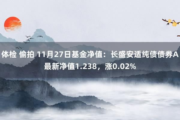 体检 偷拍 11月27日基金净值：长盛安适纯债债券A最新净值1.238，涨0.02%