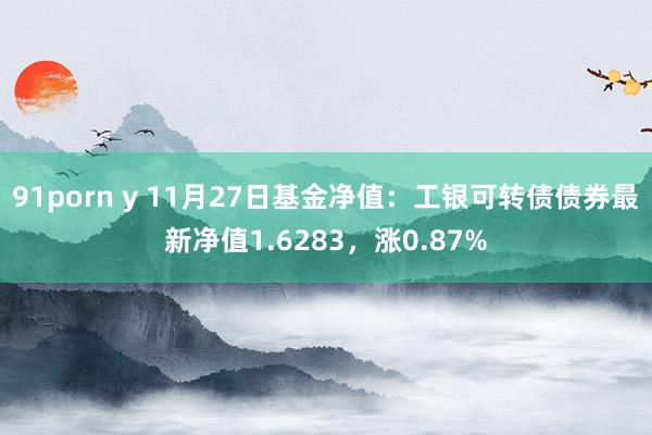 91porn y 11月27日基金净值：工银可转债债券最新净值1.6283，涨0.87%