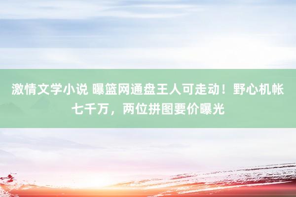 激情文学小说 曝篮网通盘王人可走动！野心机帐七千万，两位拼图要价曝光